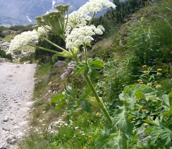 Gæstehus Elizabeth 3*